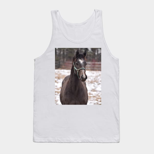 TB COLT Tank Top by theartsyeq